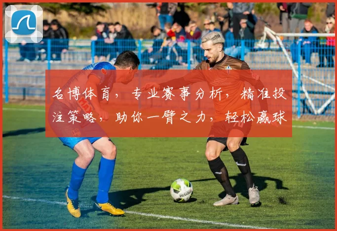 名博体育，专业赛事分析，精准投注策略，助你一臂之力，轻松赢球